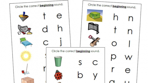 作业纸 Worksheets
