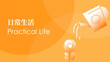 Pratical Life English Version