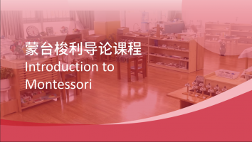 AMA 0-3 蒙台梭利导论课程